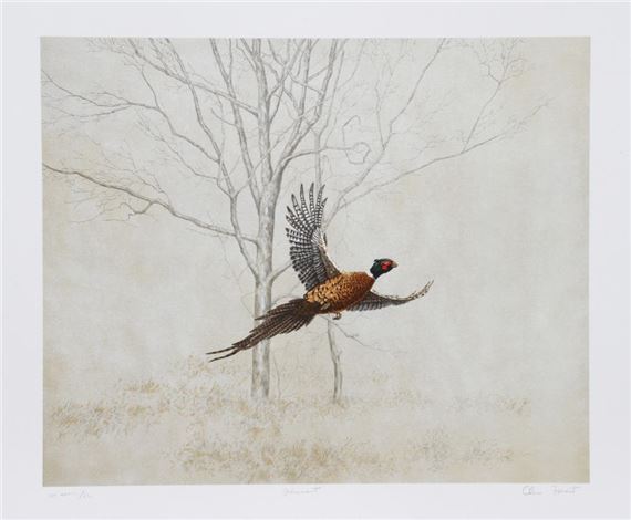PHEASANT by Chris Forrest, circa 1980