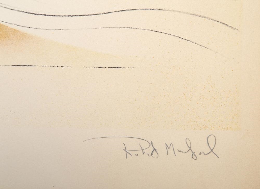 Artwork by Robert Munford, CIRCUS, Made of SCREENPRINT