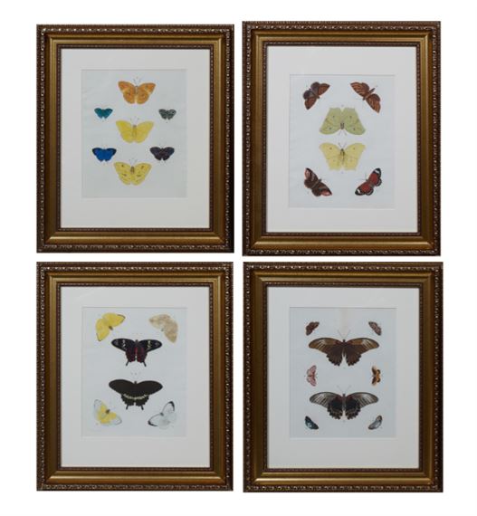 Papillons Exotiques Des Trois Parties Du Monde L'Asie, L'Afrique Et L'Amerique, - Pieter Cramer