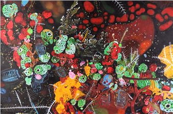 bizarre wirbellose Meerestiere - Philipp Birkmayer