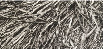 Amy Landesberg: In the Shallows - Whitespace