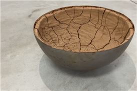 Five-Minute Tours: Madeleine Dietz at Gallery Sonja Roesch, Houston