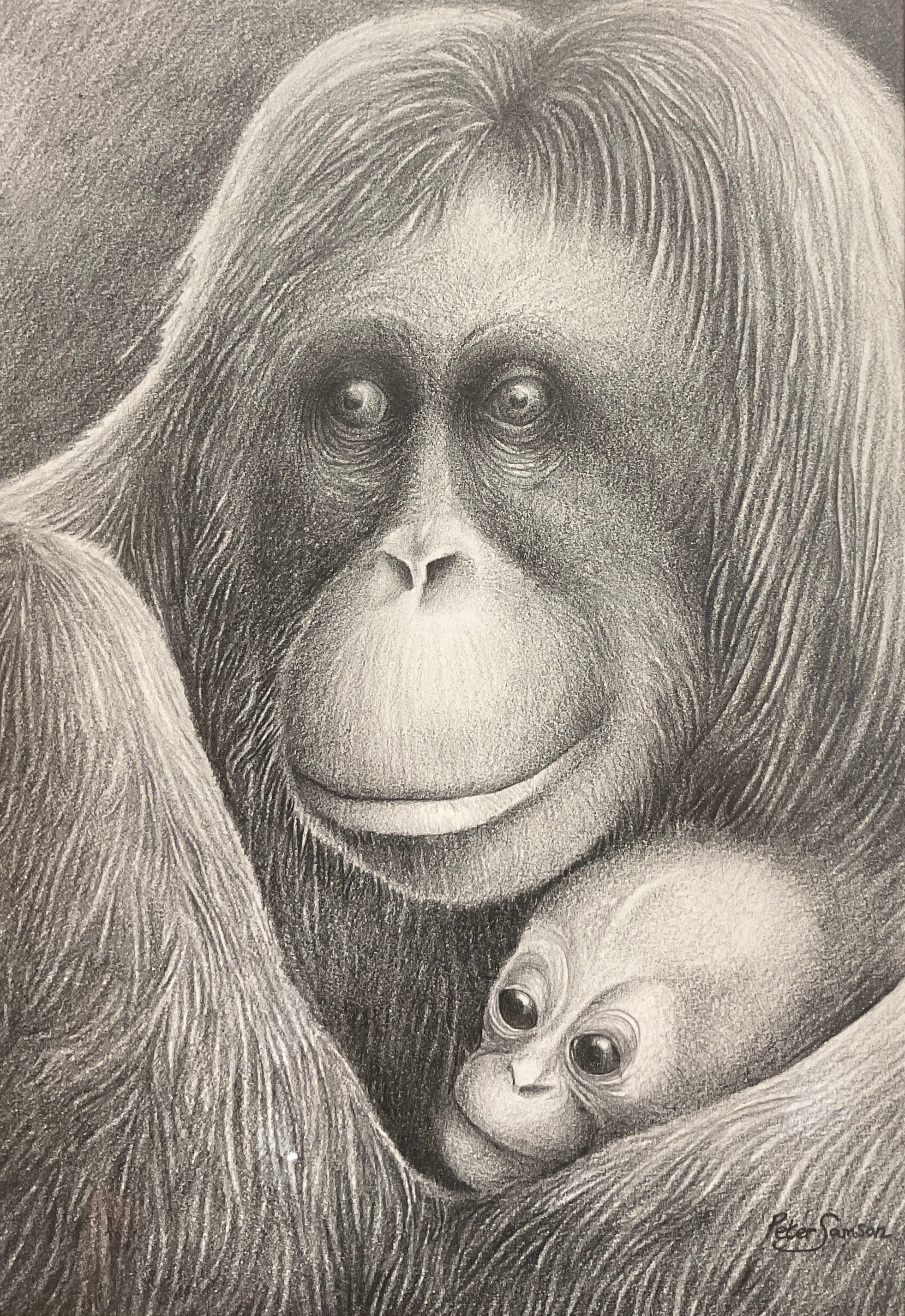 Artwork by Peter Samson, Mother and Child, Made of pencil drawing
