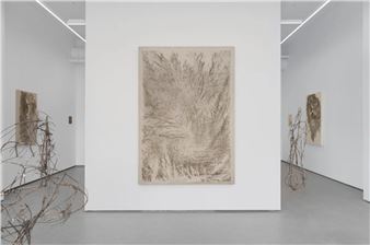 Evelina Hägglund: I Dreamt I Was the Ground - Galleri Golsa