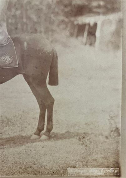 R. Mayer | R. MAYER Man on horseback (1885) | MutualArt