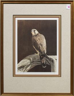 Bird of Prey - Bruce Lattig