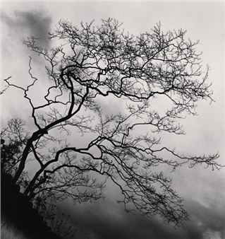Michael Kenna: Japan, A Love Story - Peter Fetterman Gallery