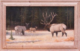 Elk Family - Jim Lyons
