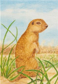 Gopher - Eva Dennis 