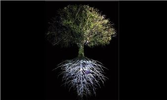 Ursula Biemann: "Devenir Tierra” (Becoming Earth). Museo Universitario Arte Contemporáneo– De Ciudad De México - Muac