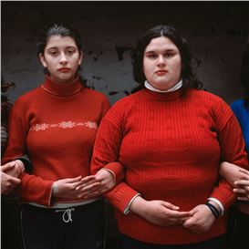 Shows to See: The Beauty of Collaboration