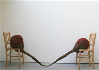 St Leonards Meets The World