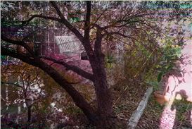 Klaus Von Nichtssagend Gallery to Open Solo Shows by Holly Coulis and Barry Stone