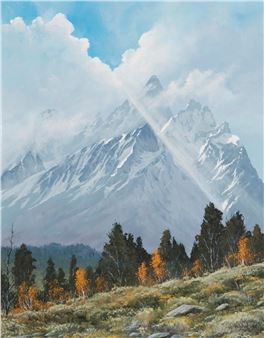 Illumination - Dick Sorenson