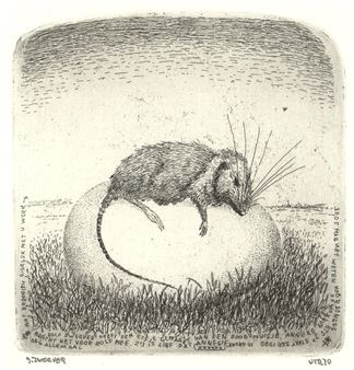 &quot;Dolf Zwerver heeft een etsje gemaakt van een dood muisje (...) - Dolf Zwerver