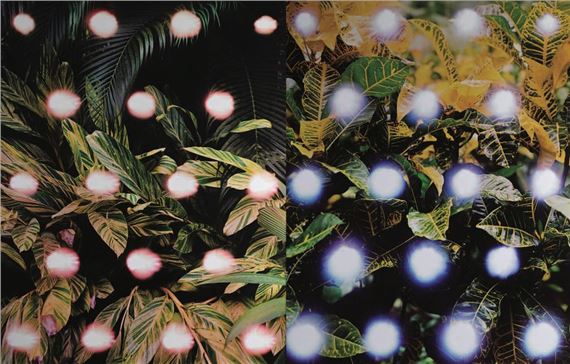 36 Antipodes - Hannah Whitaker