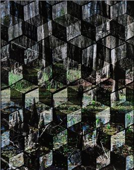 Jean Lafitte 2 - Hannah Whitaker