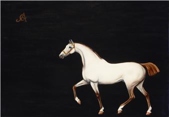 White horse - Carlos Anesi