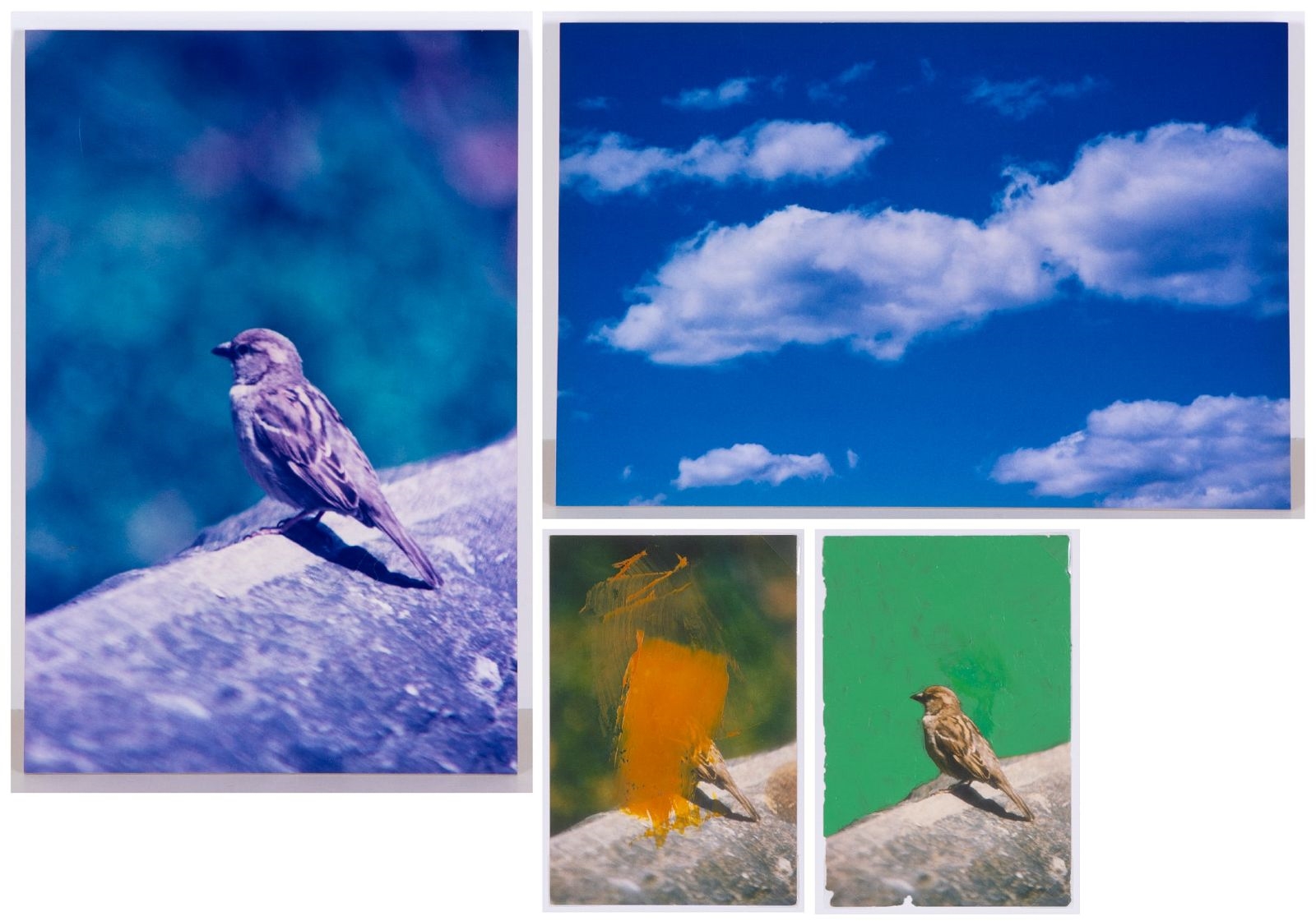 James Sprouse | BIRDS; CLOUDS | MutualArt