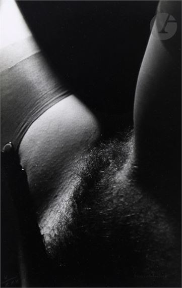 Porn Picture