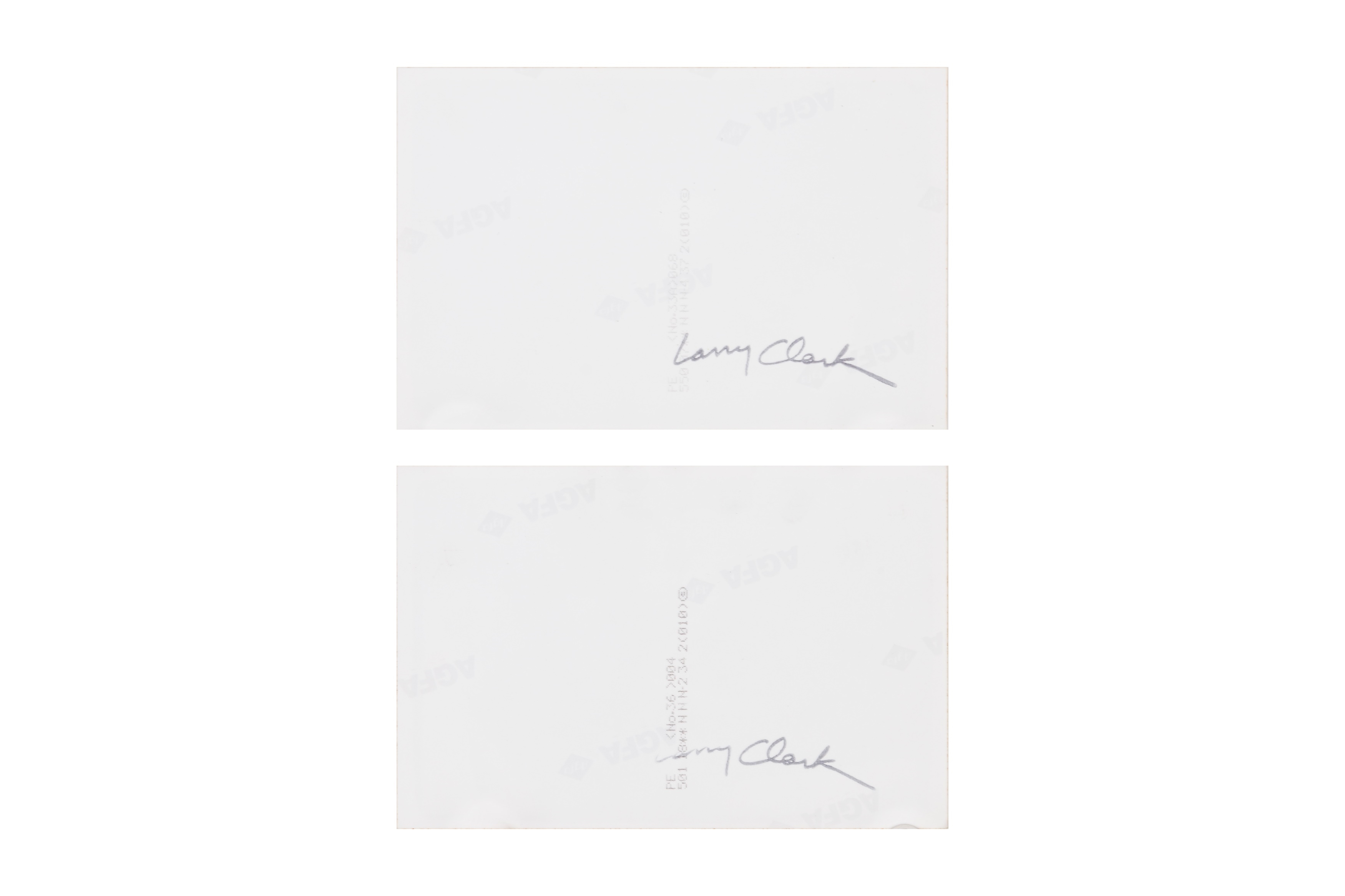 Larry Clark | WASSUP ROCKERS (2005) | MutualArt