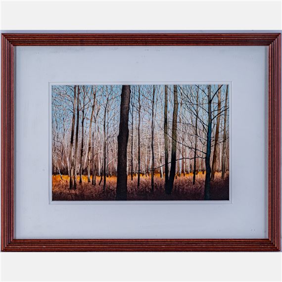 Forest by Charles Pitcher, 2001