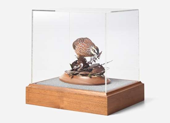 Artwork by Grainger McKoy, Running Quail, Made of Carved, polychromed wood