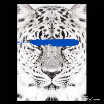 Savage" series - Trait D'Union