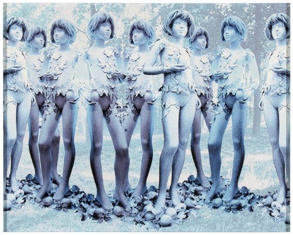 Mutazione - Figure vegetali, 2008 by Vincenzo Ceccato, 2008