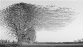 In Tune with the Spirit of the Time: FOTOGRAFIA EUROPEA 2024, Reggio Emilia