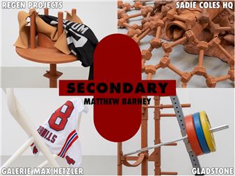 Matthew Barney: Secondary: object replay - Gladstone Gallery, New York (21st Street)