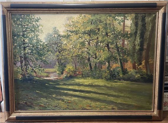 Glade in the forest - Marcel Bach