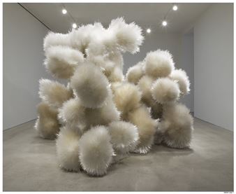 Tara Donovan: Aggregations - Bruce Museum