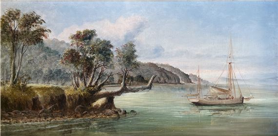 Coromandel Coastal Landscape