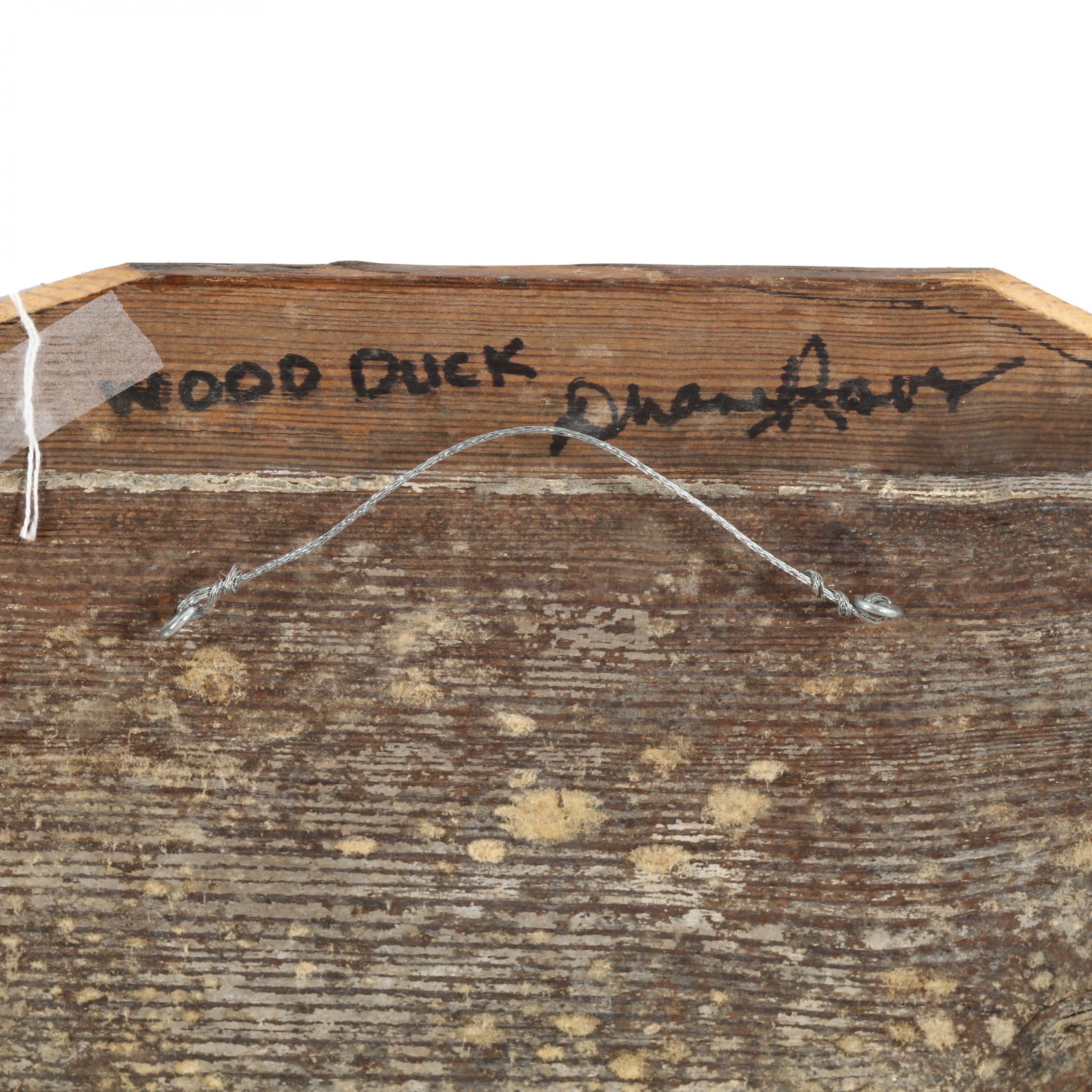 Duane Raver, Jr. | Wood Duck | MutualArt