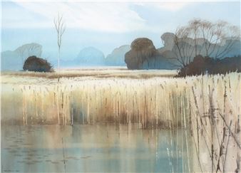 Reed Beds, Norfolk - Peter Atkin