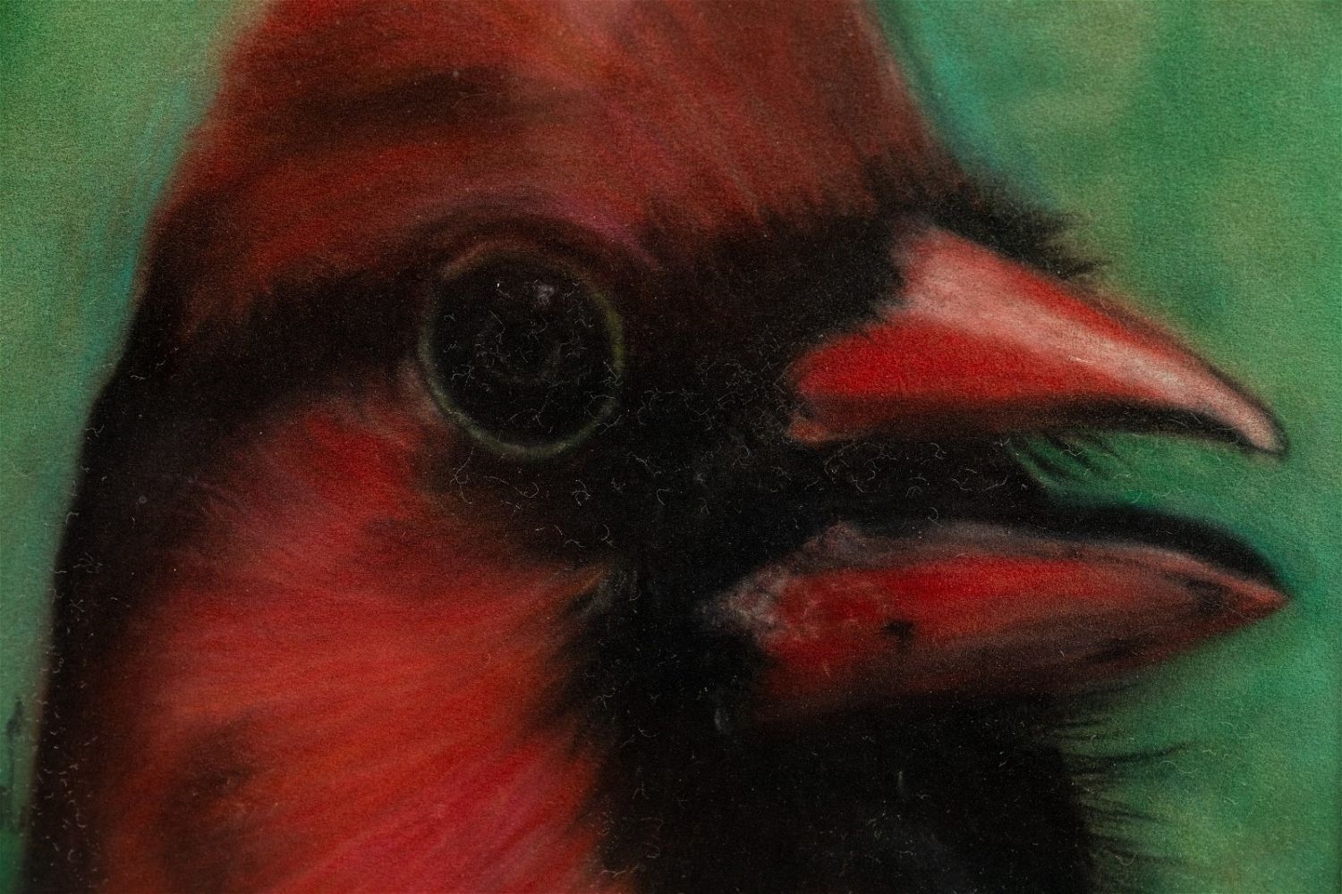 M. H. Herrin | M.H. Herrin Cardinal Pastel on Paper | MutualArt