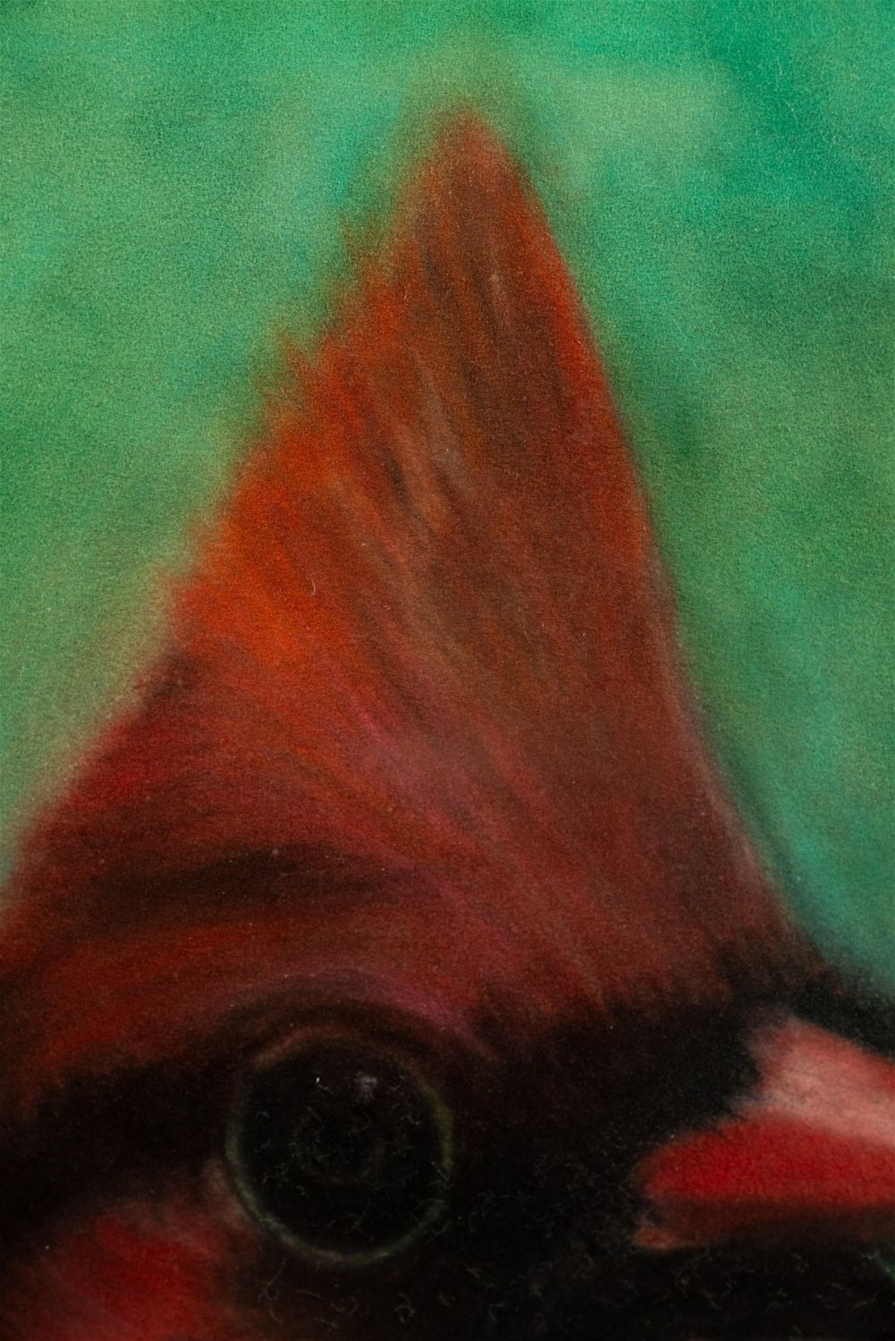 M. H. Herrin | M.H. Herrin Cardinal Pastel on Paper | MutualArt
