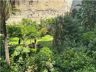 Lettere Intorno A Un Giardino - Alfonso Artiaco