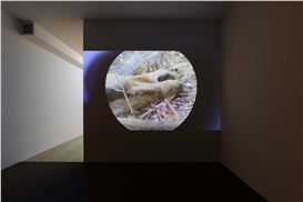 “Forks & Spoons” at Galerie Buchholz, New York