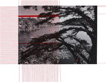 Lihua Chen: Calm Before the Storm - Gallery 456