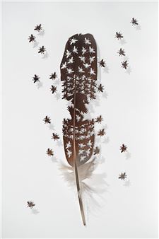 Chris Maynard & Troy Abbott: Live And Let Fly - Gerald Peters Gallery, New York