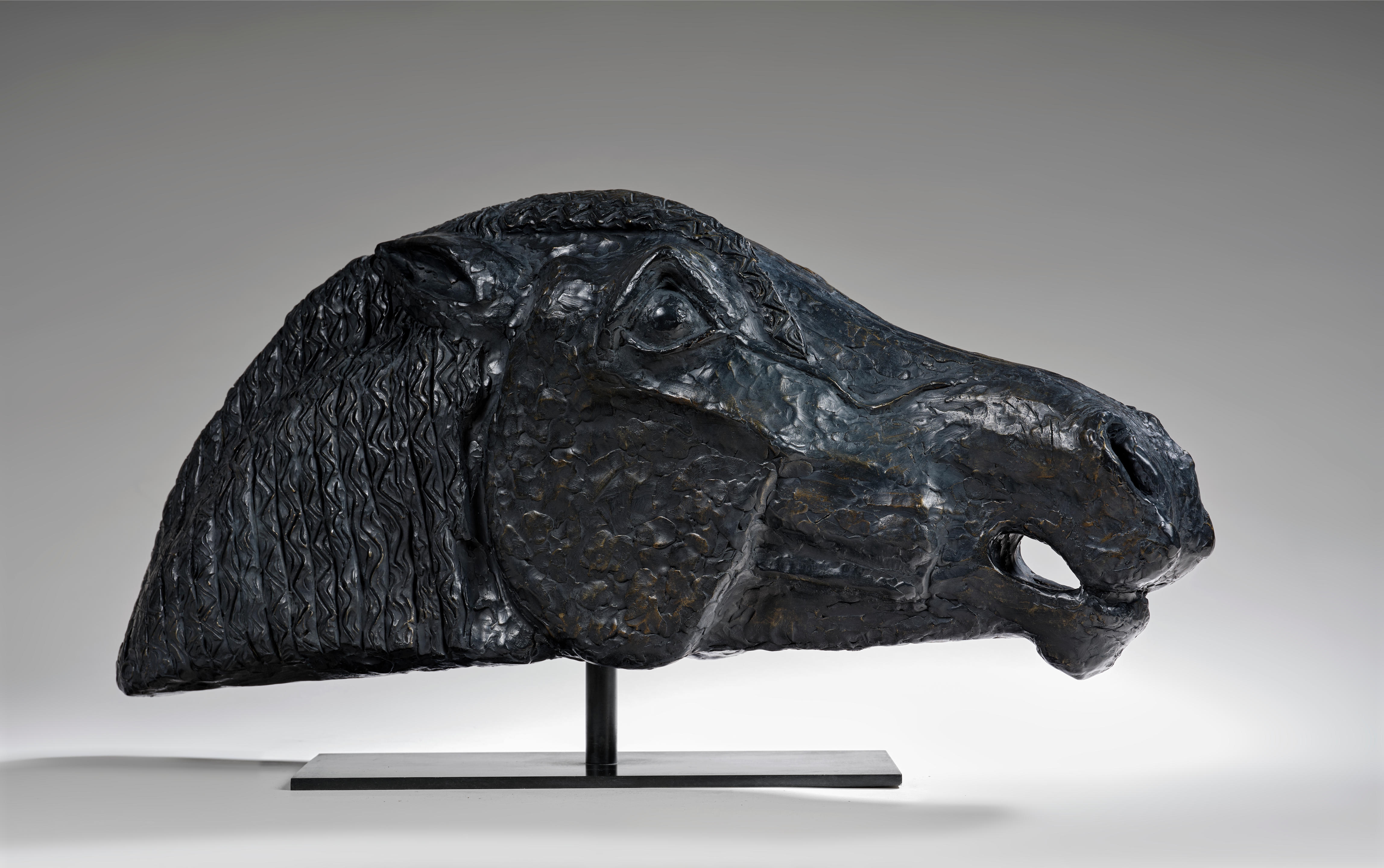 Artwork by Jacques Chalom des Cordes, Tête de cheval, Made of bronze with black patina