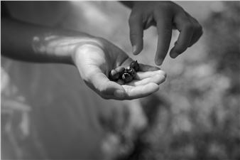 Gather: In Celebration Of Year Of The Arts - The Rooms