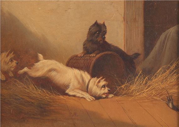 George Armfield | Ratters Dogs Chasing a Rat (19) | MutualArt