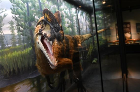 Permanent Science Galleries: Natural Cycles Shape Our Land - Bruce Museum