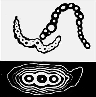 It Is Light - Bonner Kunstverein