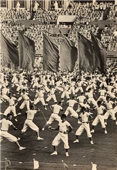 The sport celebration, Rome , 1946 - Sergej Loskutov
