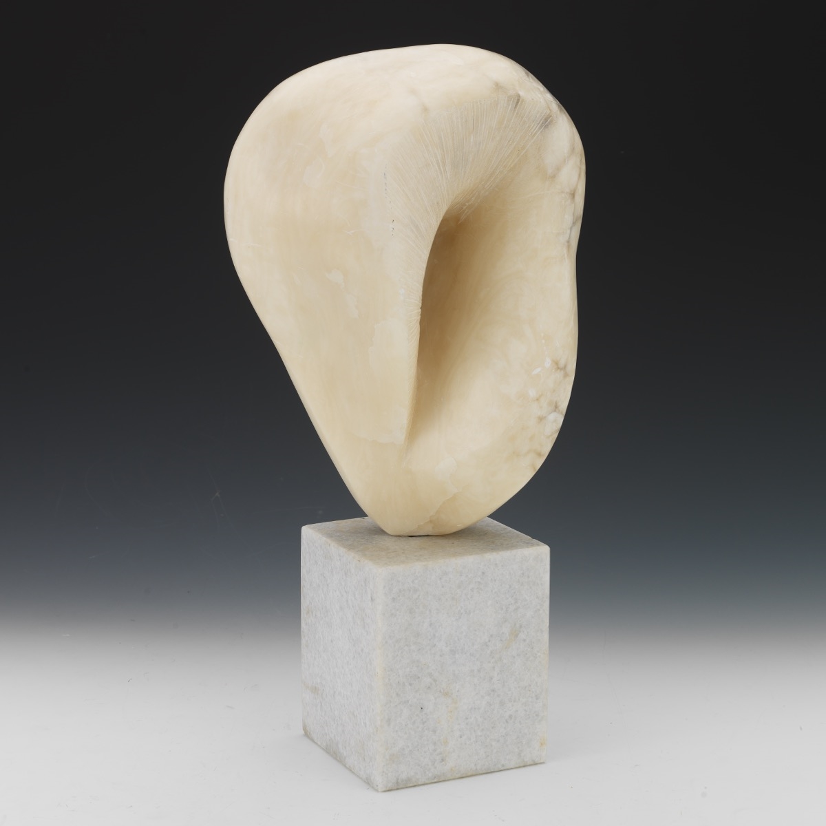 Emily Kaufman | Abstract Form | MutualArt