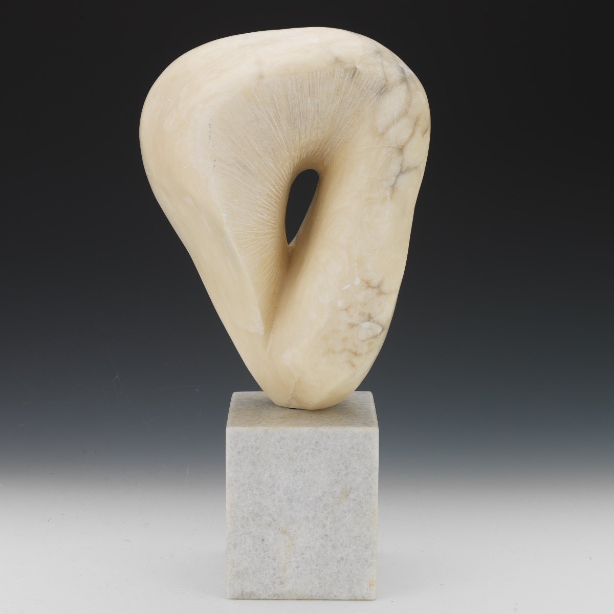 Emily Kaufman | Abstract Form | MutualArt